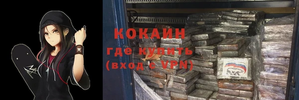 сатива Магадан
