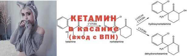стаф Майский