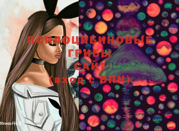 ECSTASY Магас