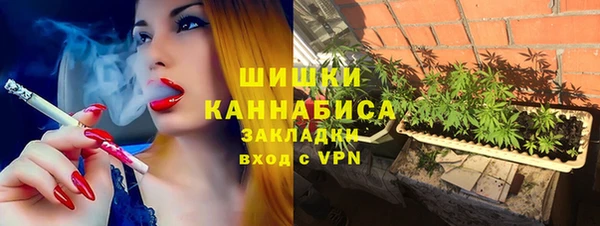стаф Майский