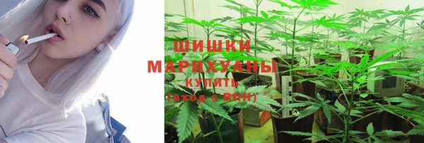 стаф Майский