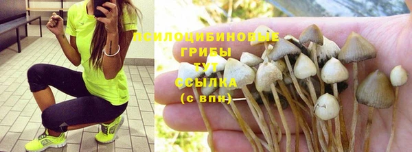 MDMA Premium VHQ Липки