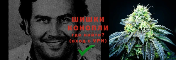 стаф Майский