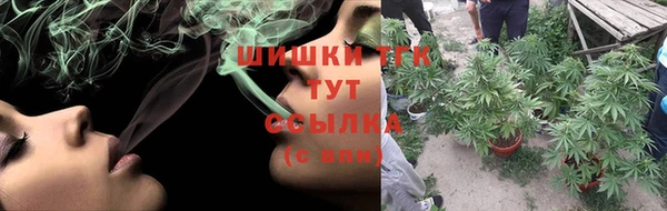 ECSTASY Магас